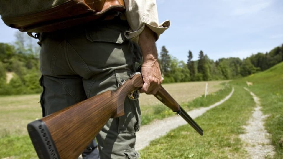 Das Solothurner Jagdgesetz wird nach 27 Jahren revidiert.