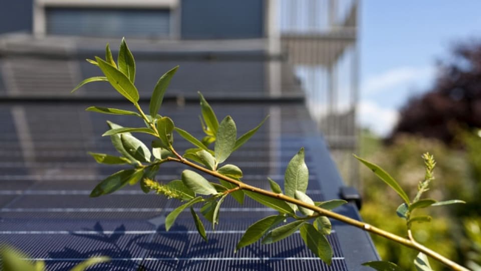 Solaranlagen auf dem eigenen Dach lohnen sich weniger