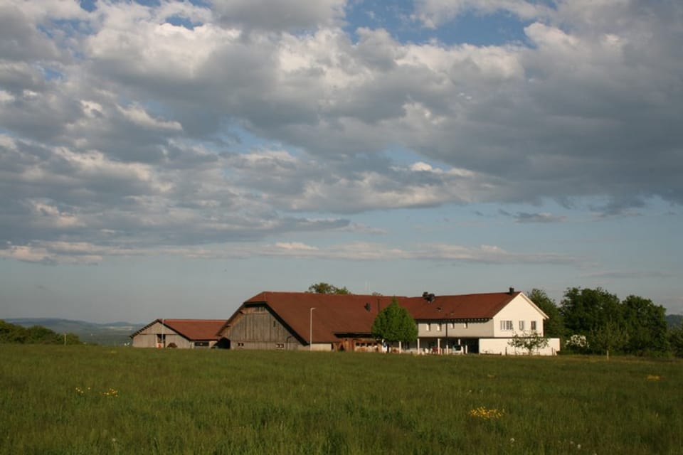 Ein Feld und im Hintergrund ein Haus