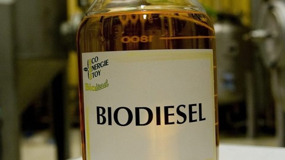 In Bad Zurzach wird nicht so schnell Biodiesel produziert.