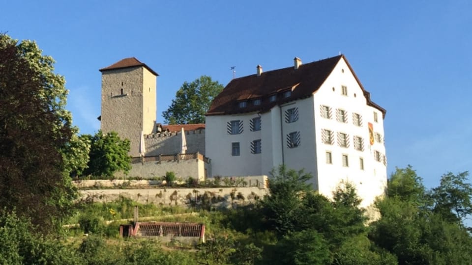 Schloss Wildenstein: Die Gemeindeversammlung entscheidet am Freitag, wie es weitergeht