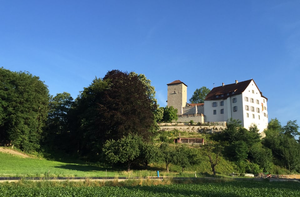Schloss Wildenstein soll öffentlich zugänglich werden.
