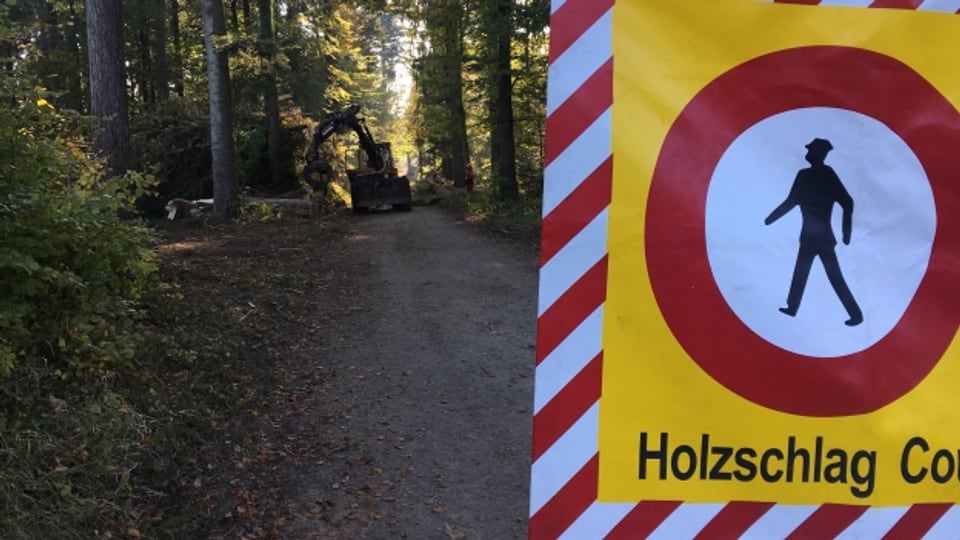 16 Millionen Franken jährlich für den Aargauer Wald? Das fordert eine Initiative.