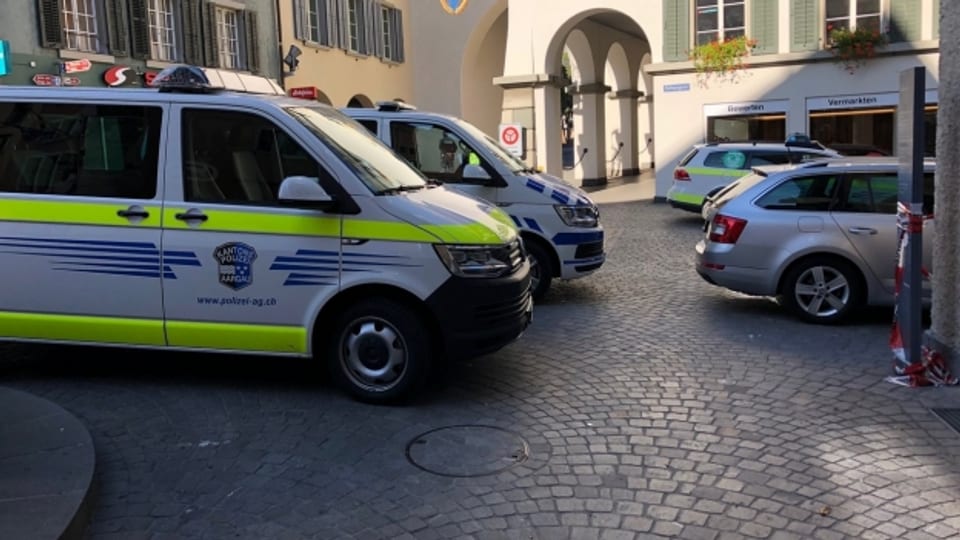 Bei einem koordinierten Grosseinsatz nahmen Polizei und Grenzwacht am Samstag im Aargau 13 Personen fest.