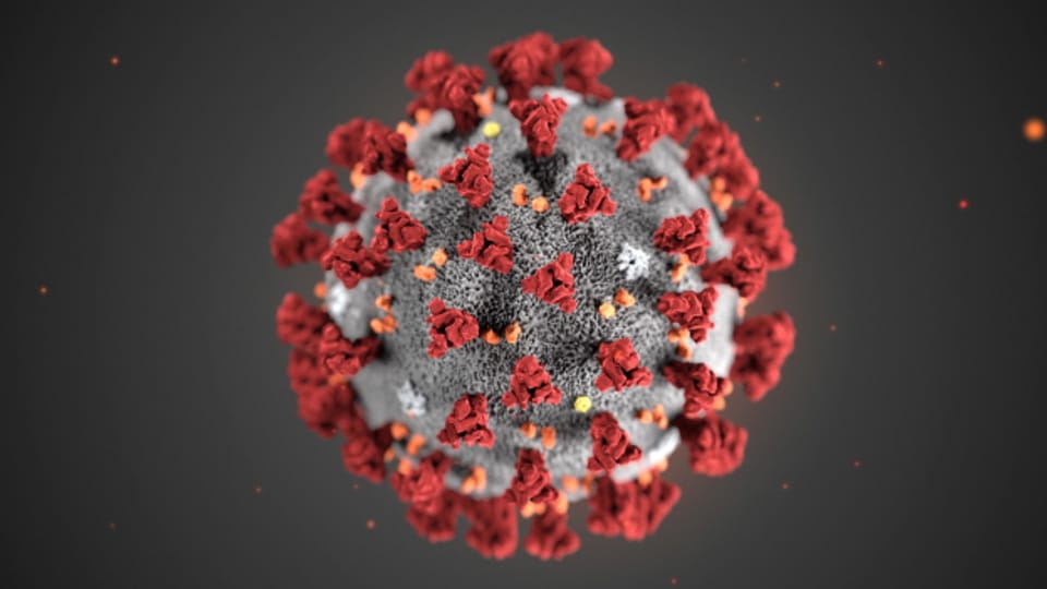 Das Coronavirus sorgt für viele Fragen bei der Bevölkerung