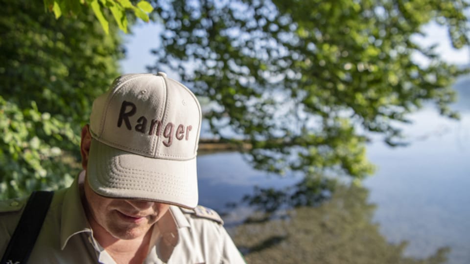 Die Hallwilersee-Ranger starten ein neues Nachwuchsprojekt.