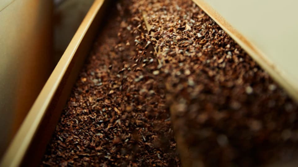 Aus den Kakaobohnen wird in Olten jene Masse hergestellt, aus der später Schokolade produziert wird.