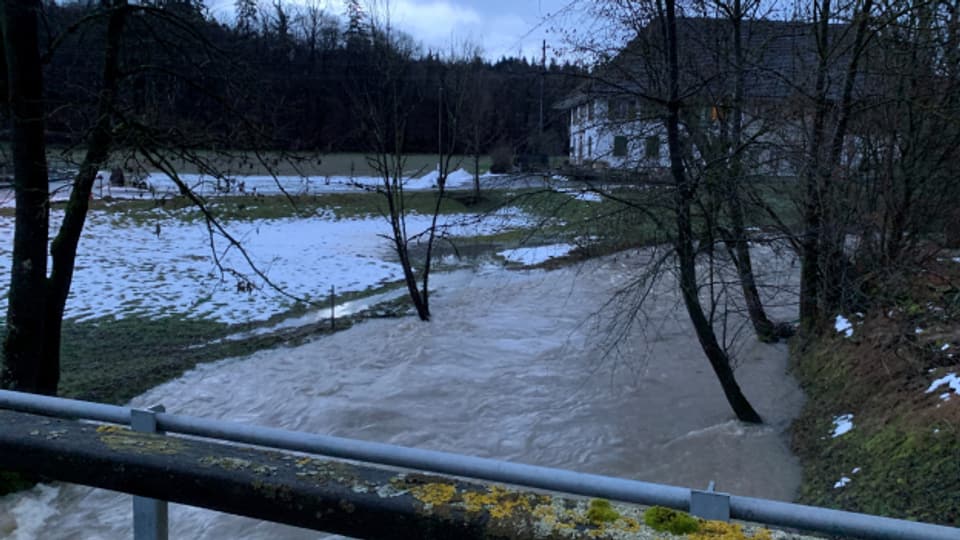 Die Wyna bei Suhr im Januar 2021: Es hat tagelang geregnet, und der Schnee schmilzt. Deshalb führen die Flüsse Hochwasser.