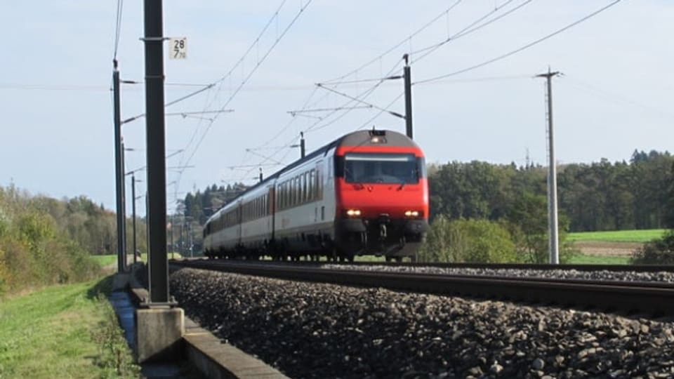 Nach der Kollision mit dem Reh mussten die 300 Passagiere im Zug evakuiert werden.