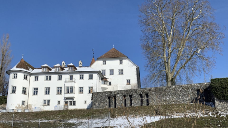 Unter dem Schloss Brestenberg befinden sich auf mehreren Etagen gigantische Hallen. Von der Seeseite her ist der Eingang zu diesem Labyrinth zu sehen. (SRF/Stefan Ulrich)