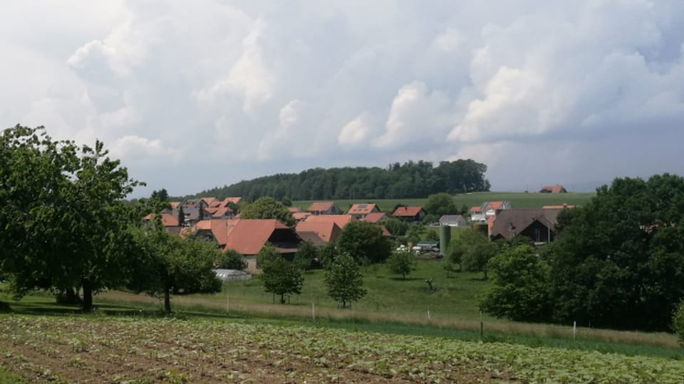 Auch die Gemeinde Buchegg verbuchte 2021 einen Überschuss. Im Bild: Ortsteil Aetigkofen.
