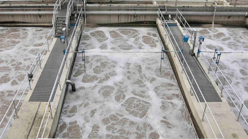 Fabrik-Abwasser ist belasteter als gewöhnliches Abwasser. Die Firma Biogen aus Luterbach muss deshalb 7 Millionen investieren.