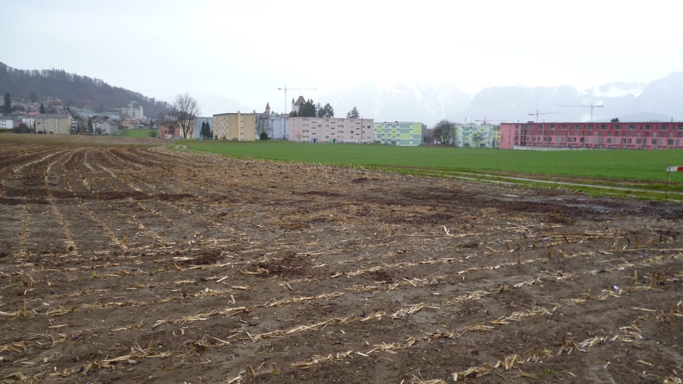Berner Bauern wollen besseren Schutz für ihr Land.