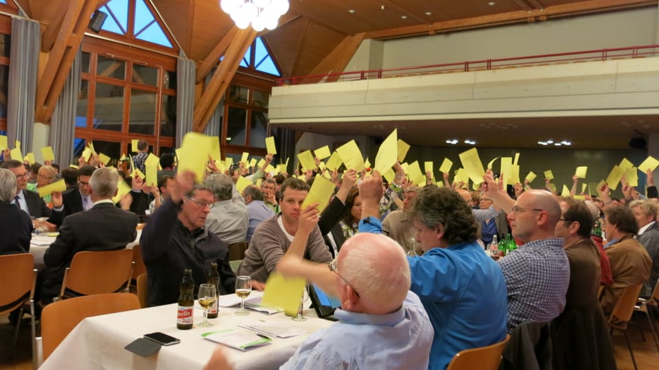 Klare Sache: Die Delegierten bekennen Farbe zur Volkswahl des Bundesrates.