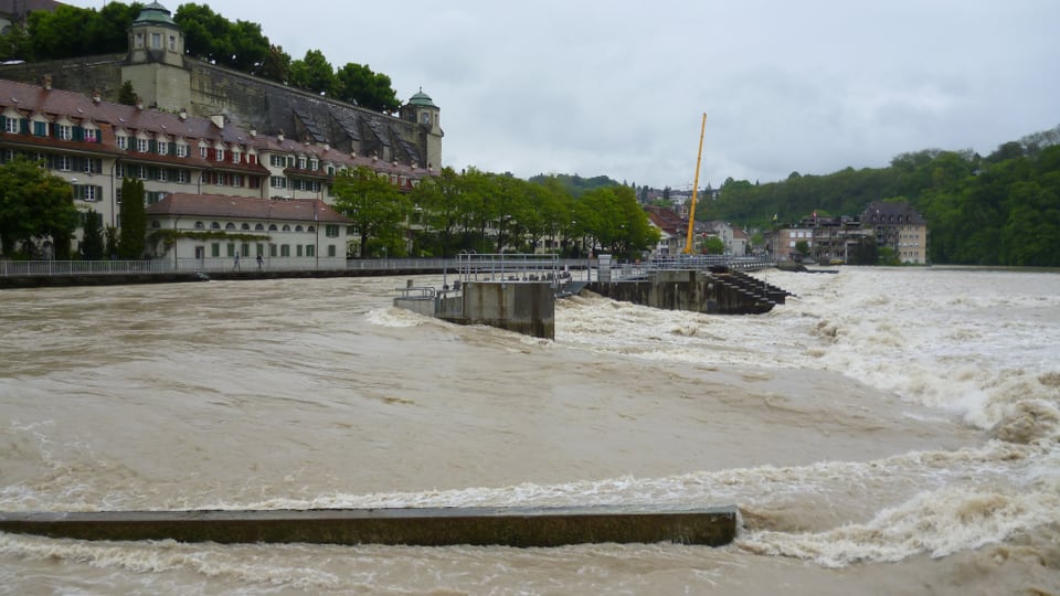 Die Aare führt Hochwasser: Mattequartier in Bern.