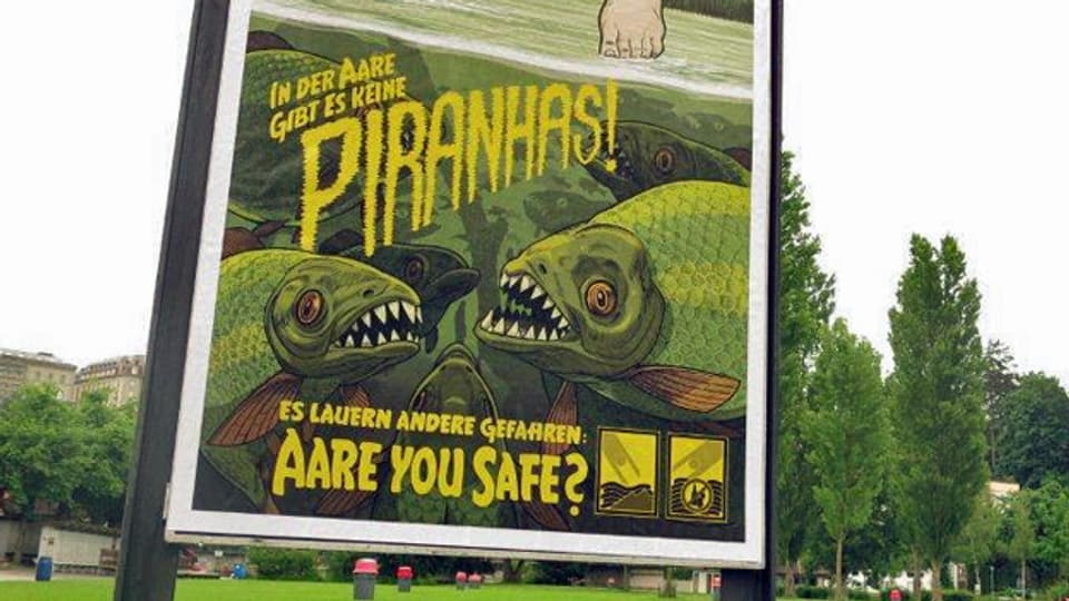 Keine Piranhas - aber dennoch nicht ungefährlich: Baden in der Aare.