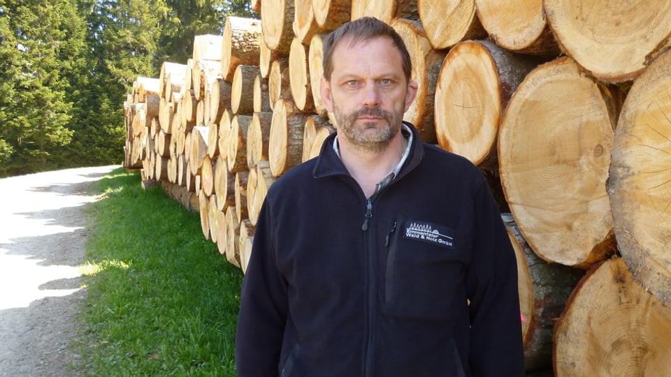 Beat Zaugg, Geschäftsführer der «Emmentaler Wald & Holz GmbH» in Grünenmatt, vor den Stämmen eines grossen Holzschlags.