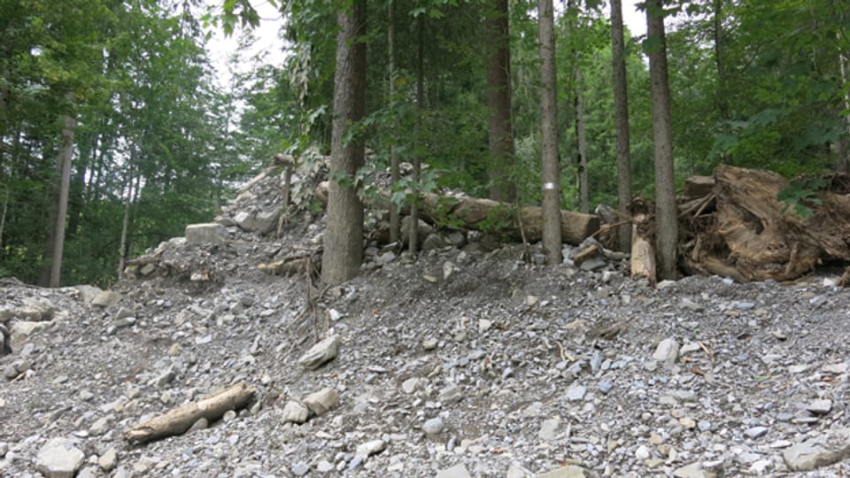 Das Unwetter hat Böden ausgewaschen und Schutzwald beschädigt.