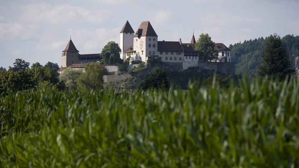 Vier Nutzungen sind für das alte Zähringerschloss künftig vorgesehen.