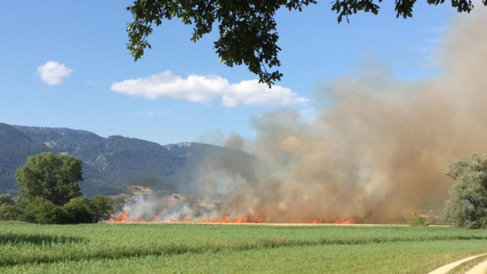 Am Montag ist im bernischen Lenganu ein Weizenfeld in Brand geraten.