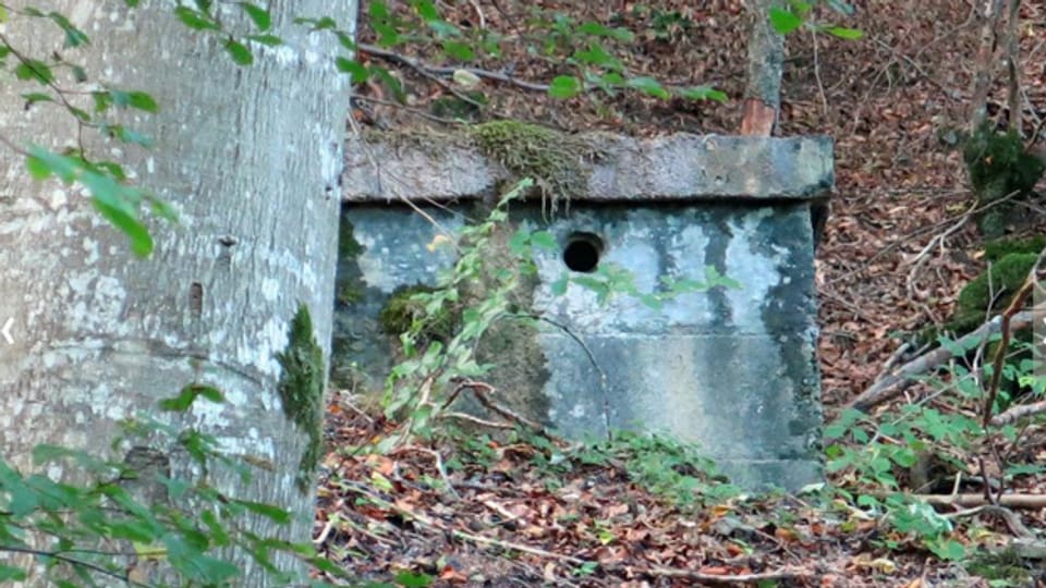 Nutzloser Käfig für eine Quelle: Alte Wasserfassung im Wald