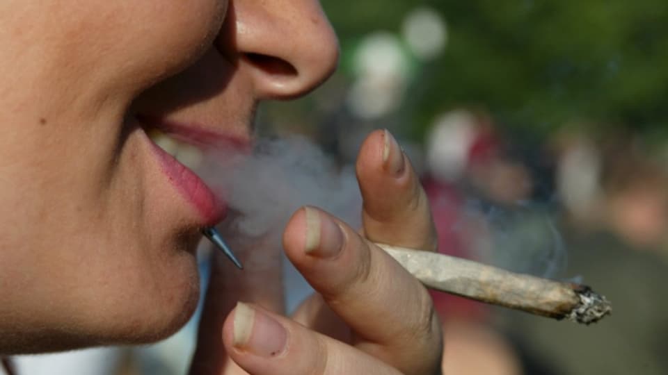 Cannabis soll in Bern bald legal erhältlich sein