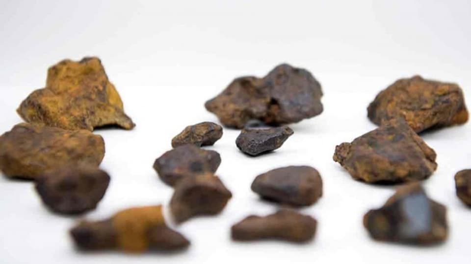 Forschende und Meteoritensammler haben in den vergangenen Jahren etwa 600 Fragmente zusammentragen.