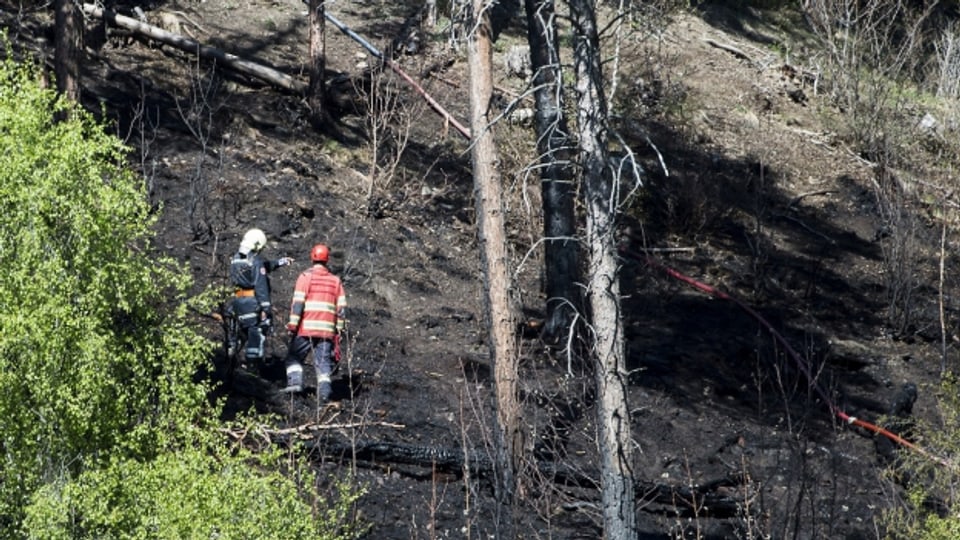 Feuerwehrmänner im Waldbrandgebiet bei Ried-Brig 2014.