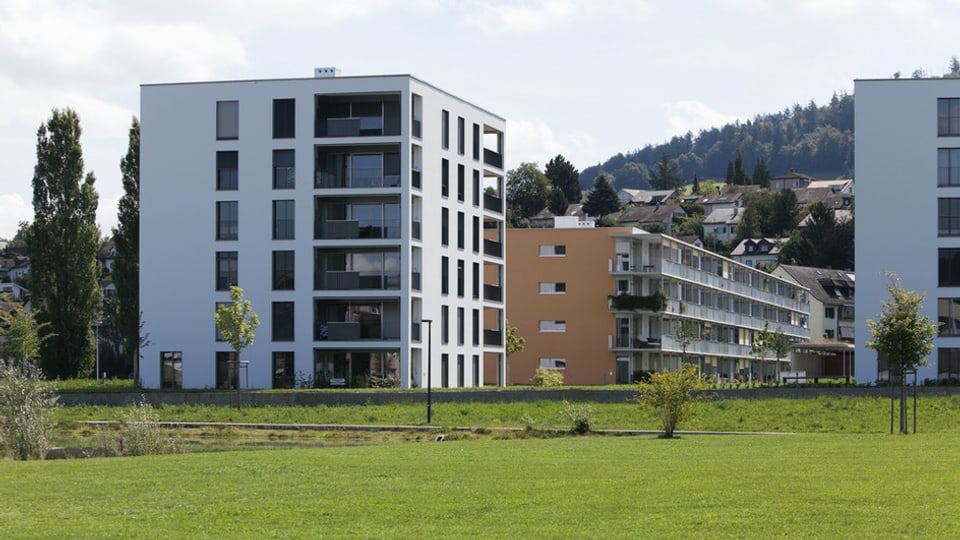 Moderne Wohnungen beim Liebefeldpark in Köniz – für viele zu teuer.