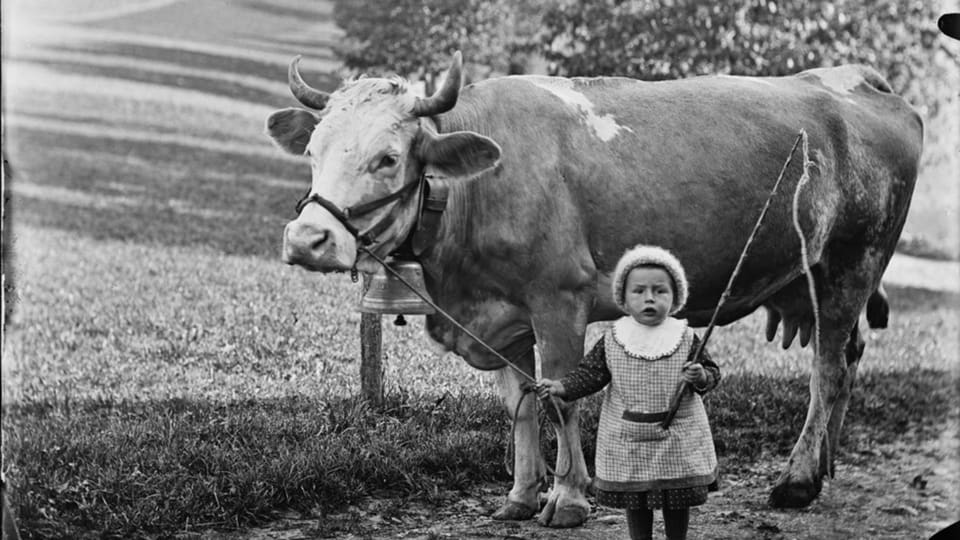 Das Bauernleben ins Bild gerückt: Mädchen mit Kuh.