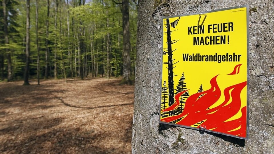 Weil es kaum geregnet hat, ist die Waldbrandgefahr in Teilen des Kanton Berns «erheblich» .