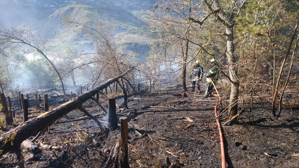 Rund 3000 Quadratmeter Wald und Wiesen fielen den Flammen zum Opfer.