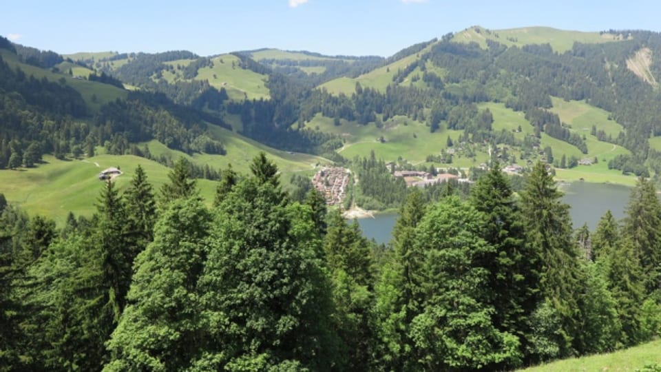Fast die Hälfte des Freiburger Waldes ist privat.