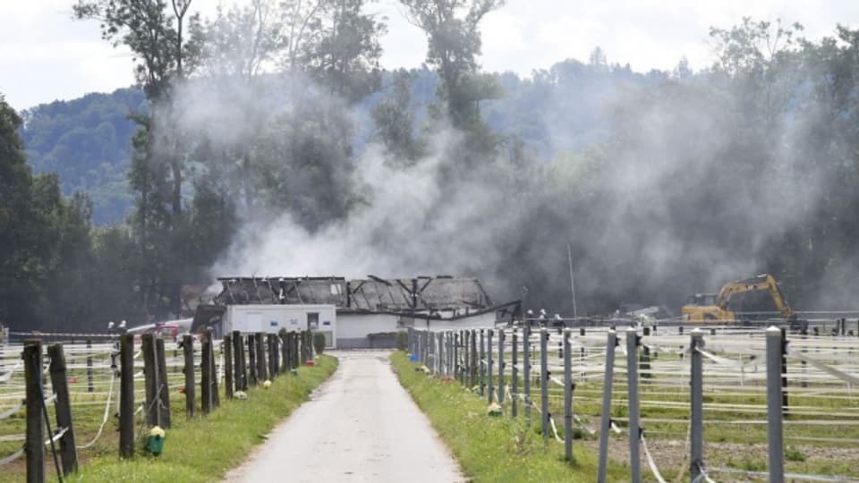 Beim Brand im Pferdegestüt von Avenches kamen im Sommer 24 Tiere ums Leben.