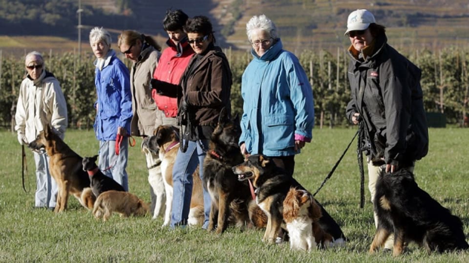 Teilnehmerinnen an einem Hundekurs in Charrat/VS.