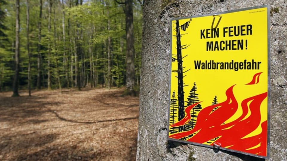 Erwarten viele erst im Sommer: warnungen vor Waldbränden.
