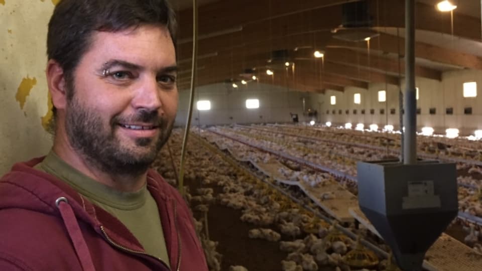 Bauer Lorenz Stucki und seine 11'500 Hühner.