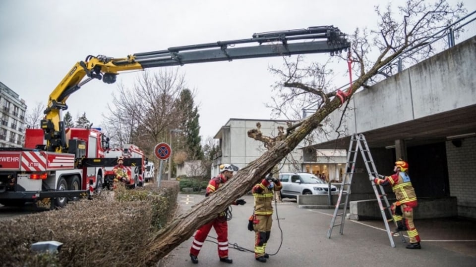 Die Berner Feuerwehr räumt einen Baum in der Eymattstrasse.