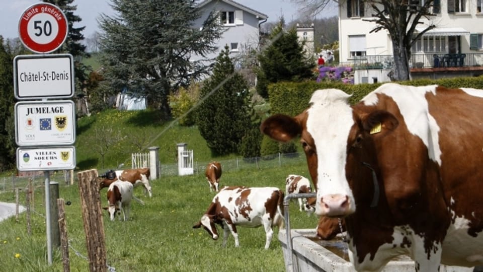 In Châtel-Saint-Denis stossen nicht nur die Kühe Methangas aus.