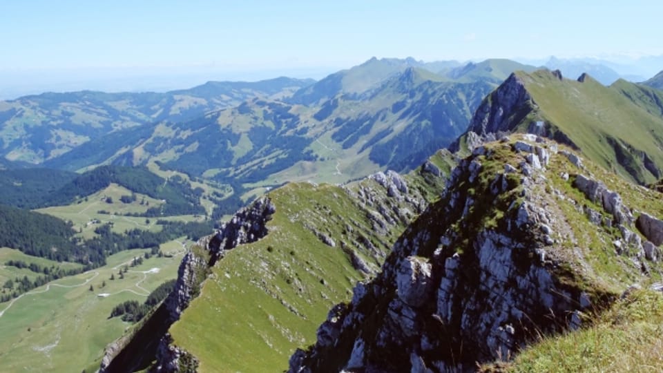 Ab den 1990er-Jahren gab es jährlich Sichtungen des Gänsegeiers in der Schweiz.