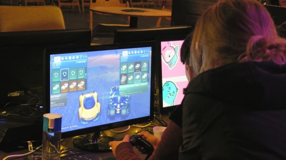 Am Festival können die Besucher unter anderem verschiedene Games testen.