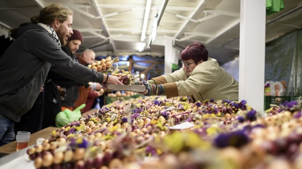 Rund 50 Tonnen Zwiebeln und Knoblauch werden am traditionellen «Zibelemärit» verkauft.