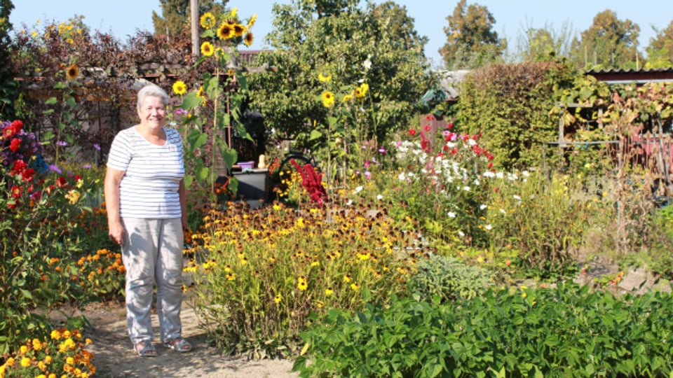 Trudi Stettler und ihr Schrebergarten im Berner Neufeld.