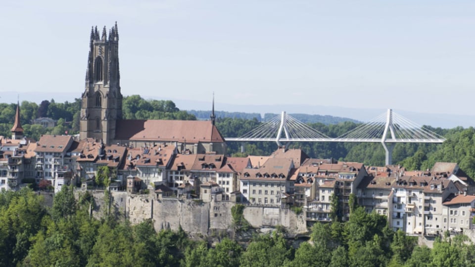 Wegen einer Corona-Erkrankung im Freiburger Stadtparlament fällt die aktuelle Generalratssitzung aus.