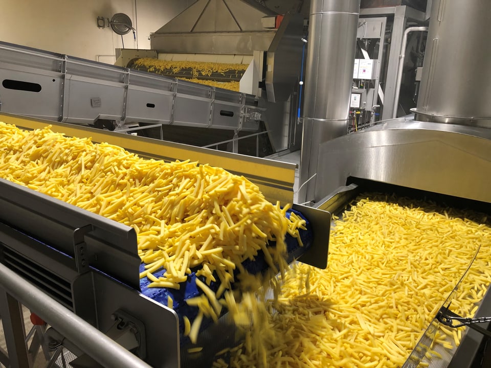 9 Tonnen Pommes Frites laufen pro Stunde bei der Herstellerin Frigemo vom Band.