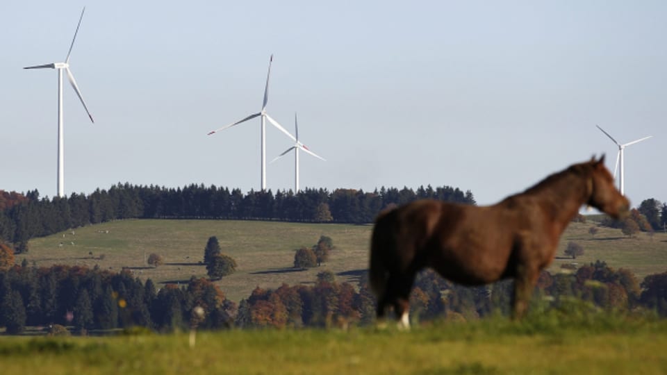 Der Kanton Freiburg hat Potential für Windenergie. Aber in naher Zukunft werden keine Turbinen gebaut.