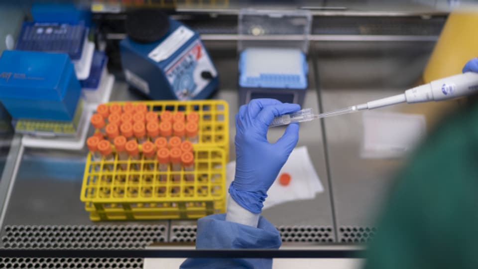 Labors unter Druck: Bei der Auswertung von Corona-Tests kommt es zu Verzögerungen