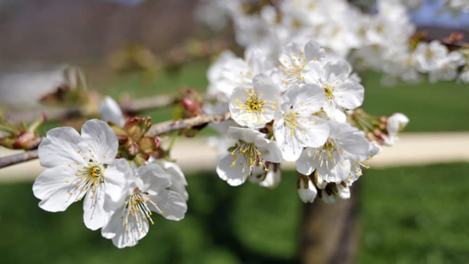 Weil es Frühling und damit wärmer wird: Der Sonderstab Energiemangel arbeitet vorerst nicht mehr