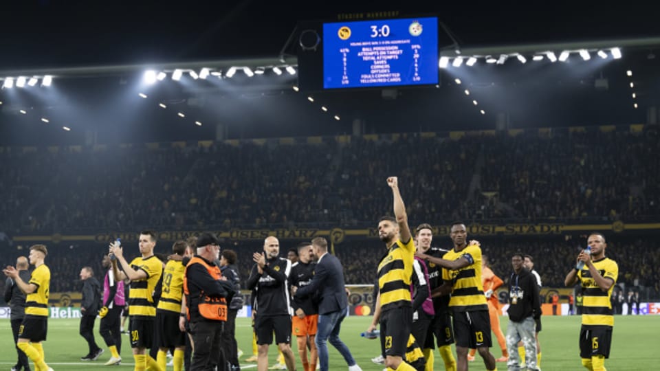 Die Berner Young Boys stehen in der ChampionsLeagueGruppenphase