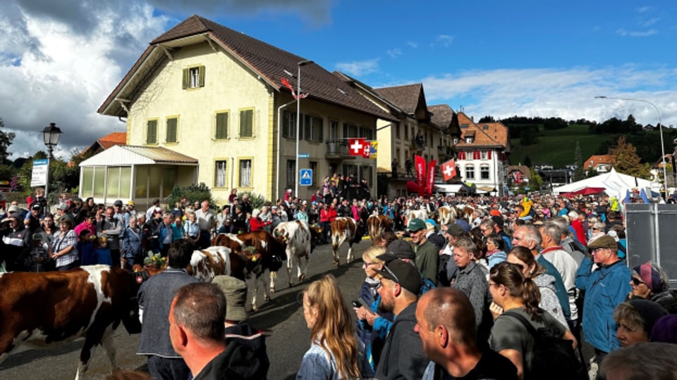 Die Bevölkerung in Plaffeien heisst die Alphirtinnen und Alphirten nach dem Sommer zurück im Tal willkommen.